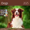   - Dogs 2025 - 