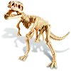 Открий и сглоби - Скелет на тиранозавър - Детски образователен комплект от серията "Kidz Labs" - 