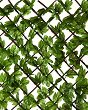 Декоративна ограда с бръшлян Nortene Greenly - 1 x 2 m - 