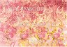 Декупажна хартия - Розови и жълти орнаменти 25 - От серията Digital Collection Mulberry - 