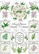 Декупажна хартия - Билки 17 - Серия "Trend Collection"