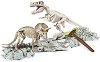 Открий и реконструирай светещ скелет на Тиранозавър Рекс и Трицератопс - Образователен комплект от серията "Clementoni: Science" - 