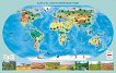 Стенна карта на света с природни зони - карта