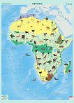 Стенна карта на Африка с природни зони - 