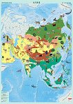 Стенна карта на Азия с природни зони - 