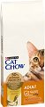     Cat Chow Adult - 