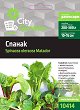 Семена от Спанак - Matador - От серията City Garden - 