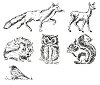 Гумени печати Heyda - Горски животни - 66 броя и мастило - 