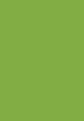 Тишу Heyda - Светло зелен - 5 листа с размери 50 x 70 cm - 