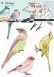 Стикери за декорация - Птичета