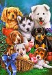 Кученца - Пъзел от 300 и 1000 части на Джени Нюланд - 