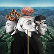 Clean Bandit - What is love? - албум