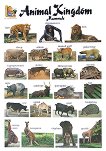 Animal Kingdom. Mammals: Стенно табло на английски език - 