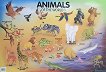 Animals of the World 1 - стенно табло на английски език - 