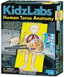 Анатомия на човешкото тяло 4M - От серията Kidz Labs - 