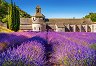 Лавандулово поле в Прованс, Франция - 