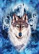 Глутница вълци - 