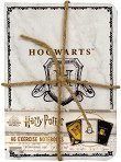  Harry Potter - Hogwarts Blue Sky - 