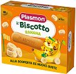     Plasmon - 