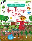 My First Book About How Things Grow - Felicity Brooks - 