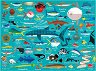 Живот в океана - Пъзел от 1000 части от колекцията Mudpuppy - пъзел