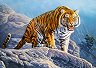 Тигър в планината - Пъзел от 180 части от колекцията "Premium" - 