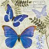Салфетки за декупаж Ambiente - Сини пеперуди