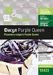 Семена от Фасул - Purple Queen - 1 g от серията City Garden - 