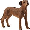 Фигурка на куче Родезийски риджбек Schleich - 