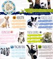 Етикети за тетрадки - Cute Animals - 18 броя - 