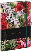     Castelli - 