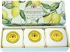 English Soap Company Lemon & Mandarin Gift Box - Подаръчен комплект с луксозни сапуни с аромат на лимон и мандарина - 