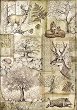 Декупажна хартия Stamperia - Горски мотиви - A4 от колекцията Forest - 