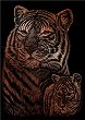 Скреч картина Royal & Langnickel - Тигри