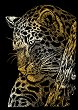 Скреч картина Royal & Langnickel - Леопард - 13 x 18 cm - 