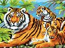 Рисуване по номера Royal & Langnickel - Тигри - 39 x 30 cm - 