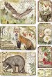 Декупажна хартия Stamperia - Горски животни - A4 от колекцията Forest - 