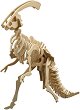 Скелет на Паразауропулос - Дървен 3D пъзел - 
