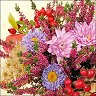Салфетки за декупаж Ambiente - Есенни цветя - 20 броя - 