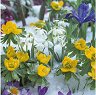 Салфетки за декупаж Ambiente - Цветя в снега - 20 броя - 