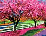 Рисуване по номера Rosa - Пролетен ден - 45 x 35 cm - 