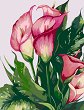 Рисуване по номера Rosa - Розови кали - 35 x 45 cm - 