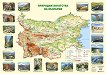 Стенна карта: Природни богатства на България - учебник