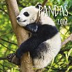 Стенен календар - Pandas 2022 - 