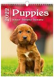 Стенен календар - Puppies 2022 - 
