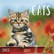 Стенен календар - Cats 2022 - продукт