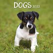 Стенен календар - Dogs 2022 - 