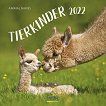 Стенен календар - Tierkinder 2022 - календар