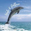 Стенен календар - Wale und Delfine 2022 - календар