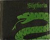 Хоризонтален портфейл Bioworld Harry Potter: Slytherin